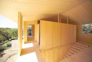 деревянные дома строительство